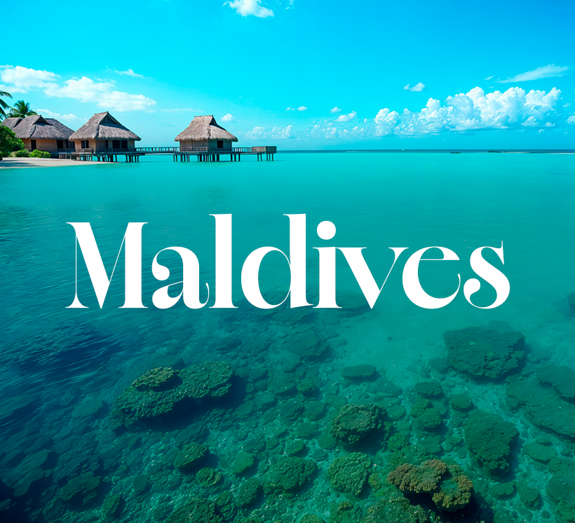 Infographic Featurette